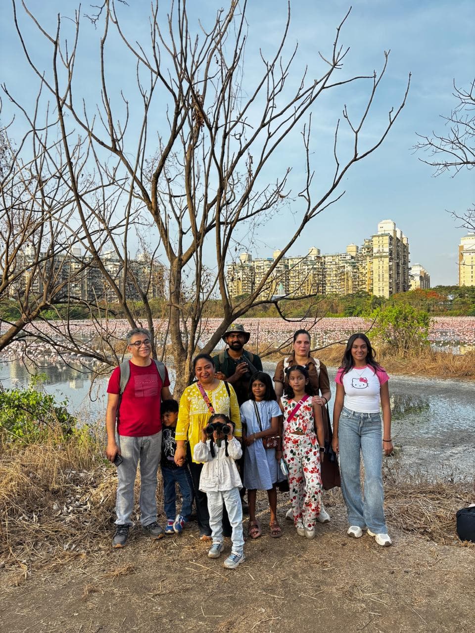 Flamingo Walk in Mumbai: An Evening with Thousands of Flamingos in Navi Mumbai