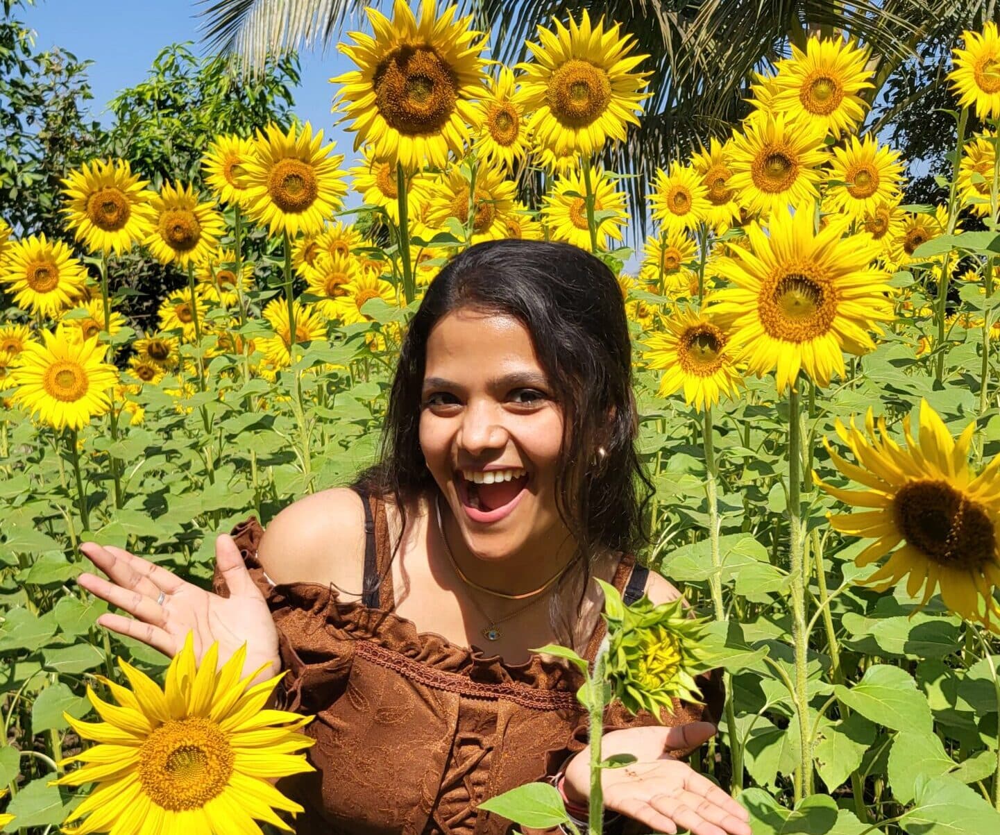 How We Started Sunflower Farm Visits – The Story of Join With Me 🌻