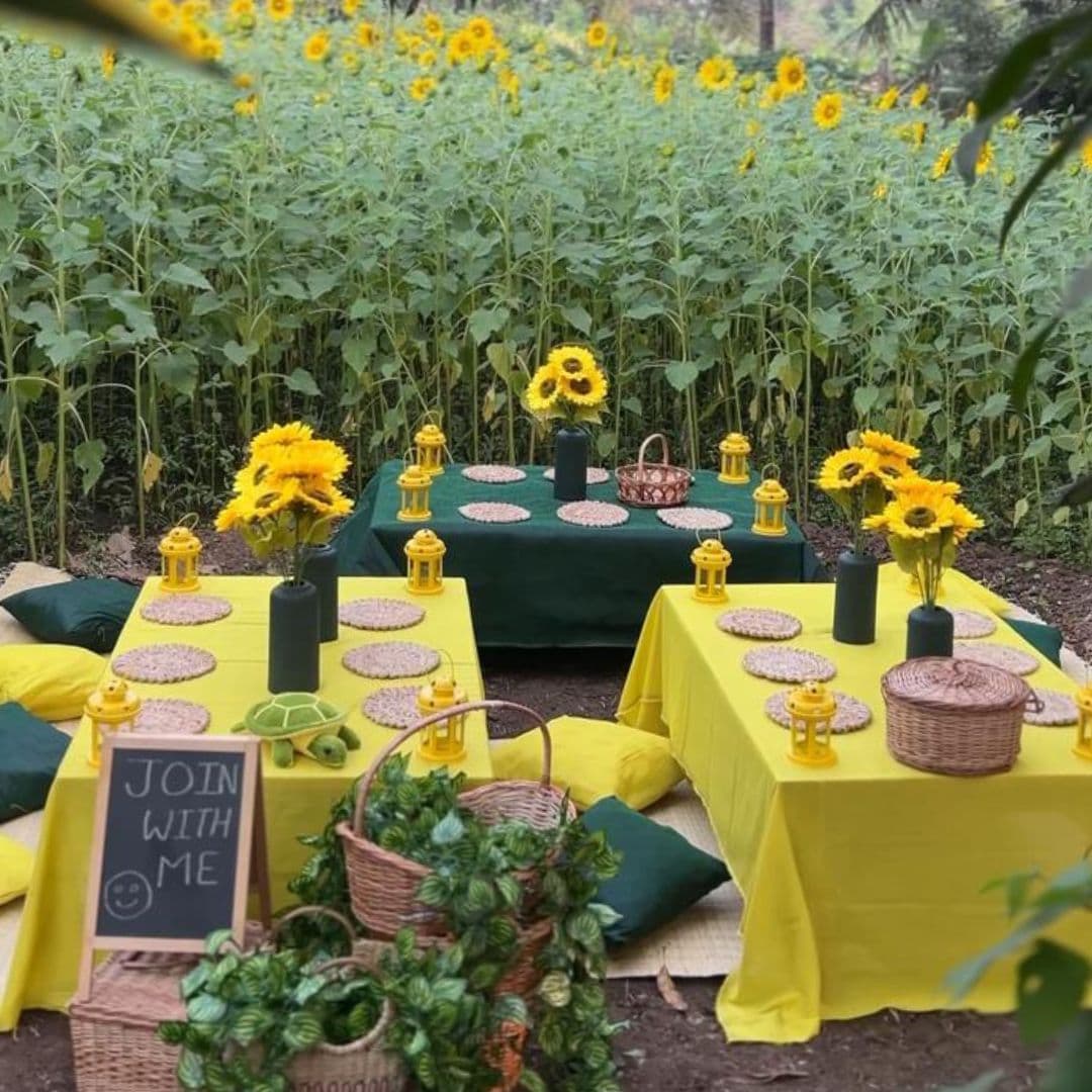Birthday Celebration in a Sunflower Farm Near Mumbai